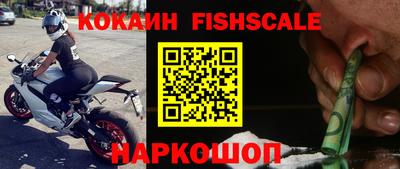 тгк Новодвинск