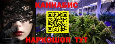 тгк Новодвинск