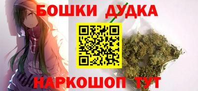 тгк Новодвинск