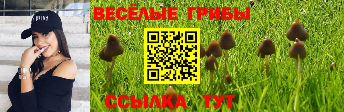 Псилоцибиновые грибы мицелий Сатка